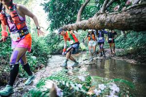 BIB: 
                            <button type="button" onclick="openModal(25446615)" class="btn btn-primary btn-sm float-right btn-popup" data-toggle="modal" data-target=".modal-high-quality">
                        <i class="fas fa-shopping-cart"></i> Add to Cart
                    </button>
                                            <button type="button" onclick="isThisMe(25446615, true)" class="btn btn-success btn-sm float-right btn-popup btn-isme hidden" data-toggle="tooltip" data-placement="bottom" title="นี่คือรูปของคุณใช่ไหม คลิกที่นี่เพื่อเอาเข้าอัลบั้ม">
                        <i class="fas fa-plus"></i> Add to album
                    </button>
                    <button type="button" onclick="isThisMe(25446615, false)" class="btn btn-warning btn-sm float-right btn-popup btn-isnotme hidden">
                        <i class="fas fa-ban"></i> Remove from album
                    </button>